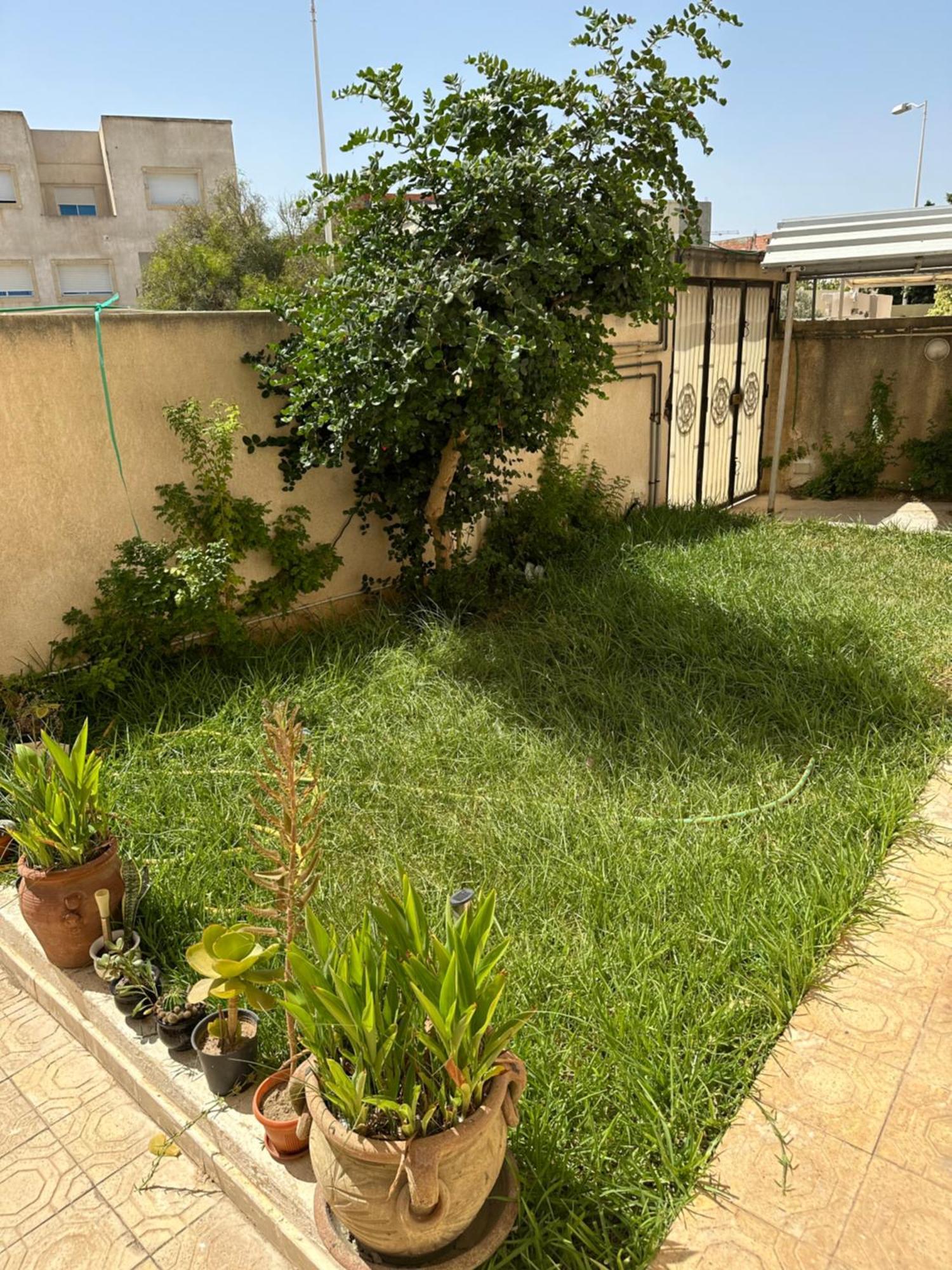 Garden House Jardin De Carthage Daire Sidi Daoud Dış mekan fotoğraf